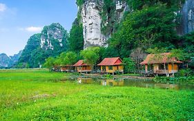 Lotus Field Ninh Bình