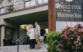 Mountain Side Hotel Whistler By Executive 3*