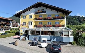 Hotel Alpenhof  3*