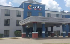 Comfort Suites Airport South Montgomery Al 3*