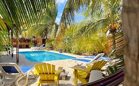 Oasis Guesthouse Bonaire 3*