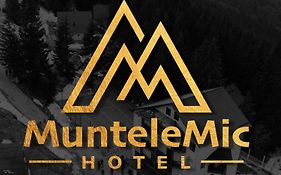 Hotel Muntele Mic  3*
