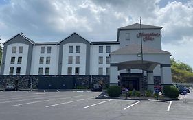 Hampton Inn Ft. Chiswell-max Meadows  3* United States