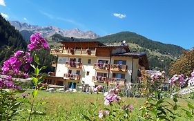 Hotel Ortles Dolomiti Walking & Spa  3*