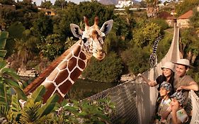Hotel Selwo Lodge - Animal Park Tickets Included  3*