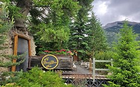 A Bear And Bison Country Inn 4*
