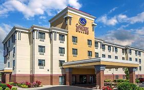 Comfort Suites Cincinnati North Springdale 3* United States