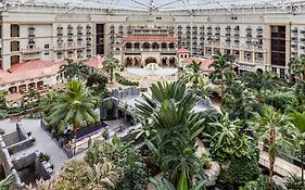 Orlando Florida Gaylord Palms Resort 4*