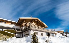 Sunlit Apartment near Ski Area in Hollersbach im Pinzgau