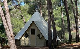 Camping Le Bois De Pins Salses-le-château