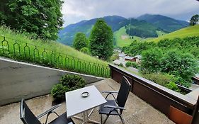 Appartement Bernkogel by HolidayFlats24