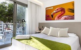 Onmood Cala Ratjada By Portblue Hotels - New Opening 2024