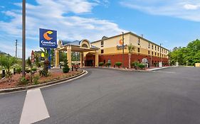 Comfort Inn & Suites Chipley I-10  3* United States