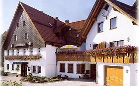 Hotel Gasthof Hirsch  3*