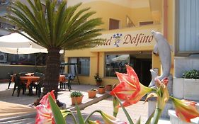 Hotel Delfino  3*