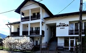 Pensiunea Antonia Guest House Vatra Dornei România