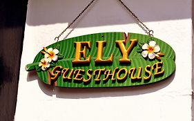Ely Guest House 3*