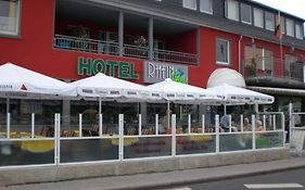 Hotel Rhein Inn  2*