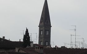 Venere Firenze