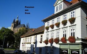 Am Dom