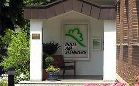 Hotel Am Steinberg  3*