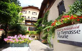 Logis Hôtel La Terrasse Fleurie  2*