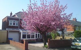 Cherry Blossom Guest House Whitby United Kingdom