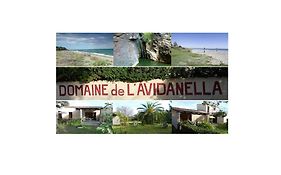 Domaine De L'avidanella Santa-lucia-di-moriani