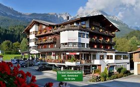 Hotel Alpin Scheffau  3*