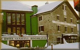 Hotel Genziana  3*