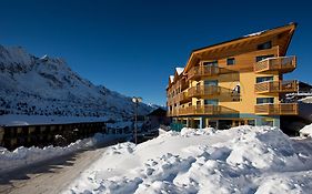 Hotel Delle Alpi  4*