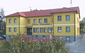 Pension Schlossblick Nebersdorf 3* Österreich