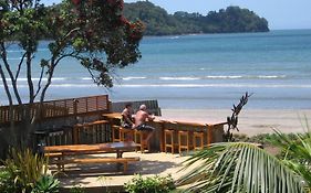 Beachfront Resort Whitianga 4*