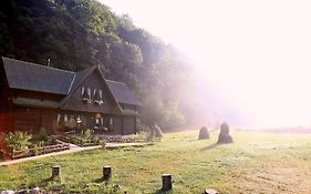 Pensiunea Dacica Guest House Bosorod România