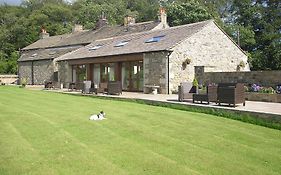 Green Grove Country House 4*