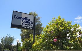 Camellia Court Family Motel Taupo 3*