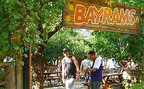 Bayrams Tree Houses
