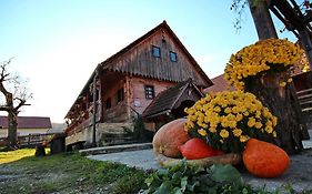 Tourist Farm Pri Martinovih