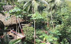 Dominican Treehouse Village Reviews