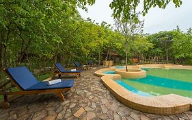 The Windflower Jungle Resorts & Spa Bandipur 5*