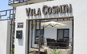 Vila Cosmin Costinesti 3*