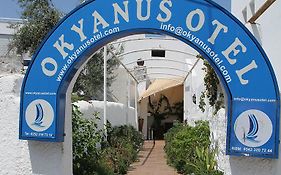 Okyanus Hotel  2*
