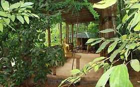 Kandy Eco Retreat photos Exterior