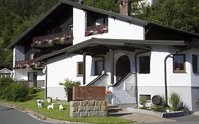 Hotel Brigitte Warmensteinach