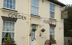 Golden Fleece Chard
