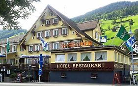 Hotel Hirschen  3*