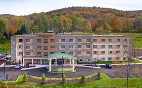 Courtyard Oneonta Cooperstown Area 3*