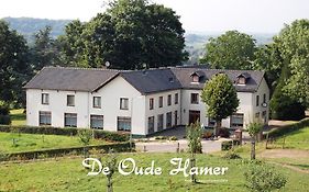 Hotel de Oude Hamer