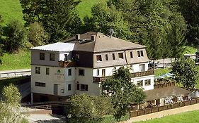 Hotel Landgasthof Grüner Baum  3*