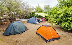 Trip Yard Camping